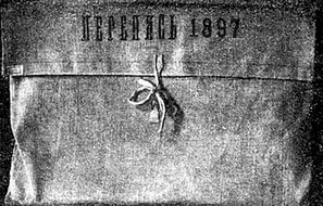 перепись 1897